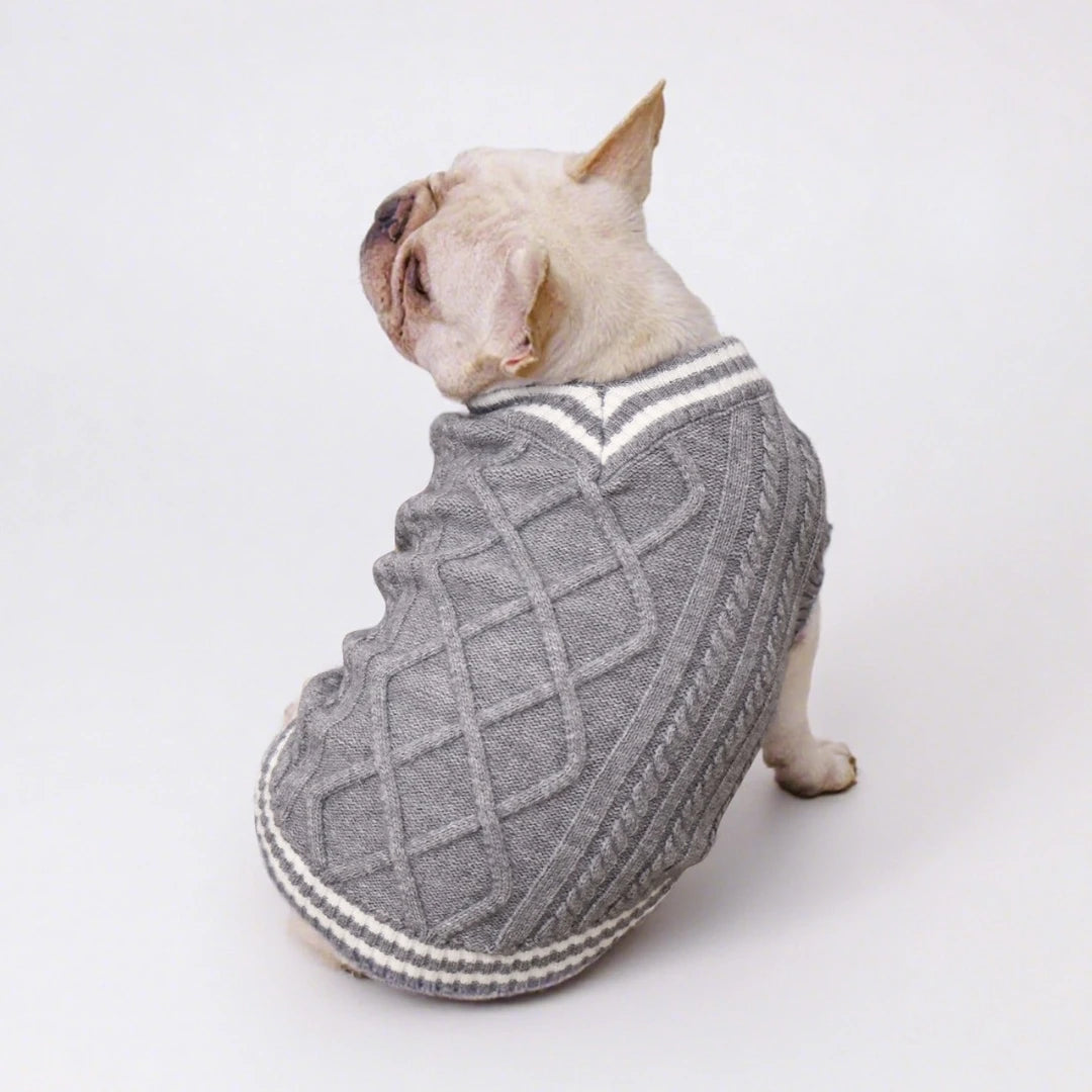 Varsity Knit Dog Vest