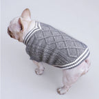 Varsity Knit Dog Vest