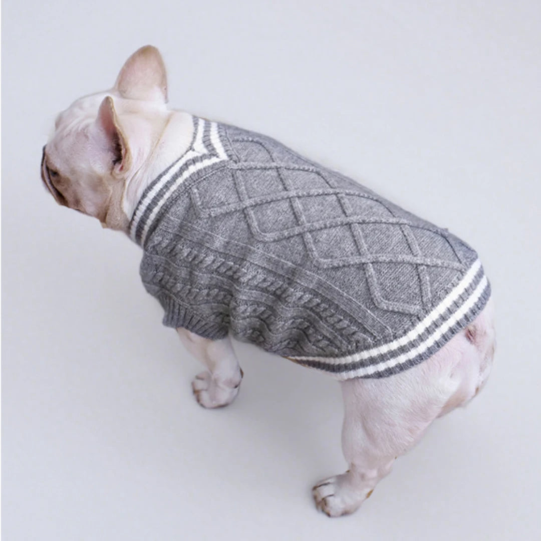 Varsity Knit Dog Vest