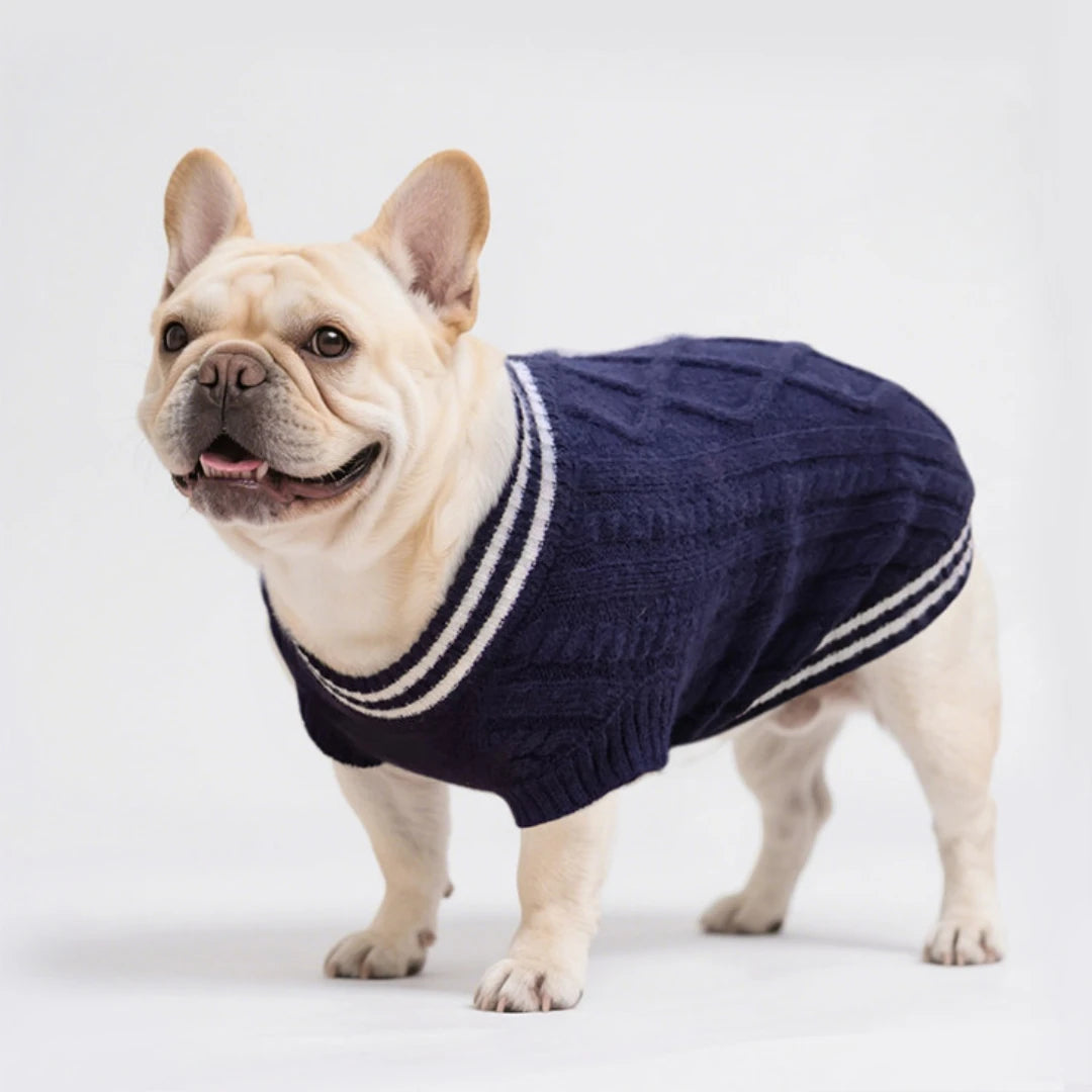 Varsity Knit Dog Vest