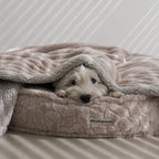 WarmTouch Waterproof Plush Pet Blanket