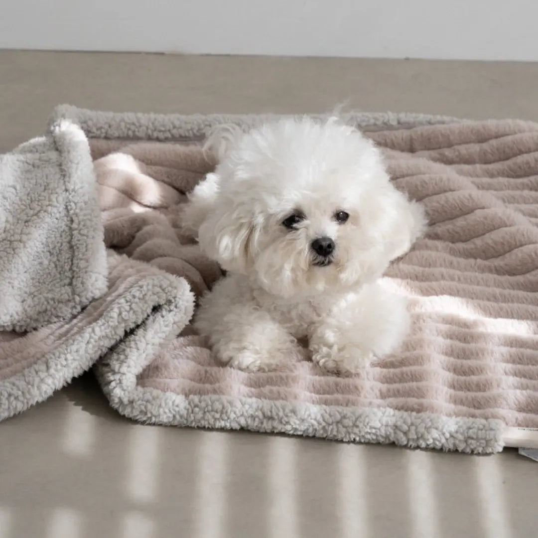 WarmTouch Waterproof Plush Pet Blanket